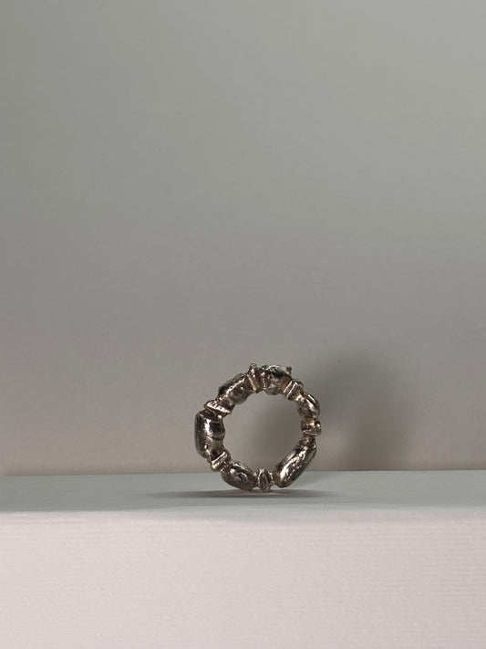 Segment ring